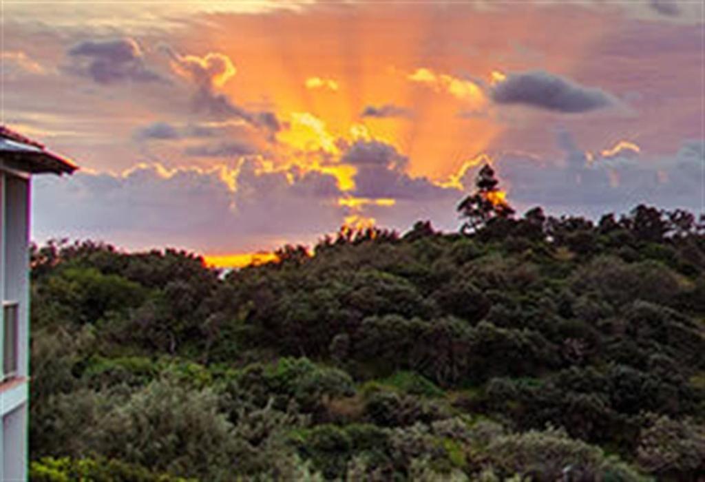 Whale Watch Ocean Beach Resort Point Lookout Eksteriør billede
