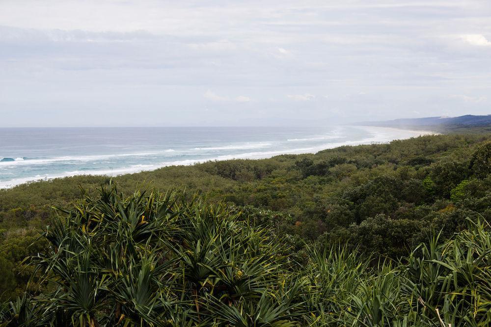 Whale Watch Ocean Beach Resort Point Lookout Eksteriør billede